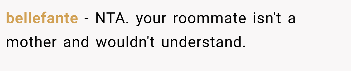 bellefante − NTA. your roommate isn't a mother and wouldn't understand.