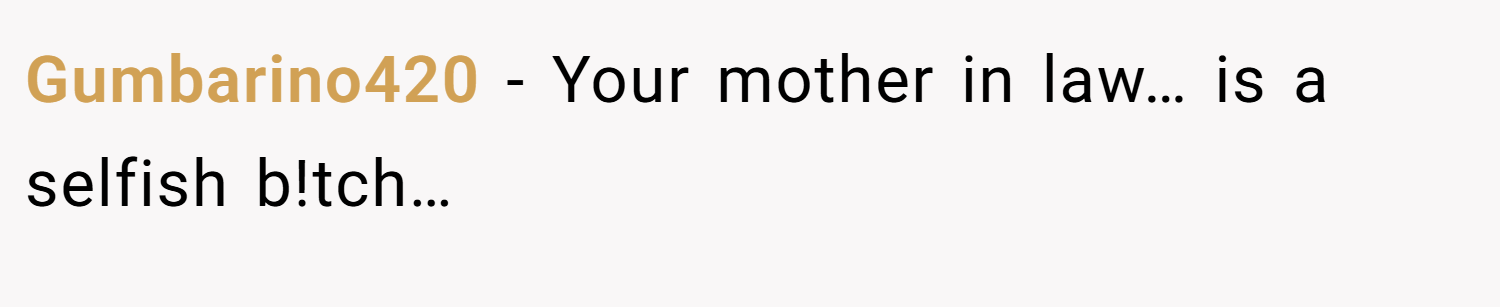 Gumbarino420 − Your mother in law… is a selfish b!tch…