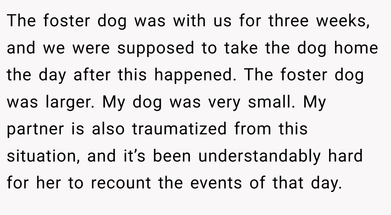 The foster dog was with us for three weeks, and we were supposed to take the dog home the day after this happened. The foster dog was larger. My dog was very small. My partner is also traumatized from this situation, and it’s been understandably hard for her to recount the events of that day.
