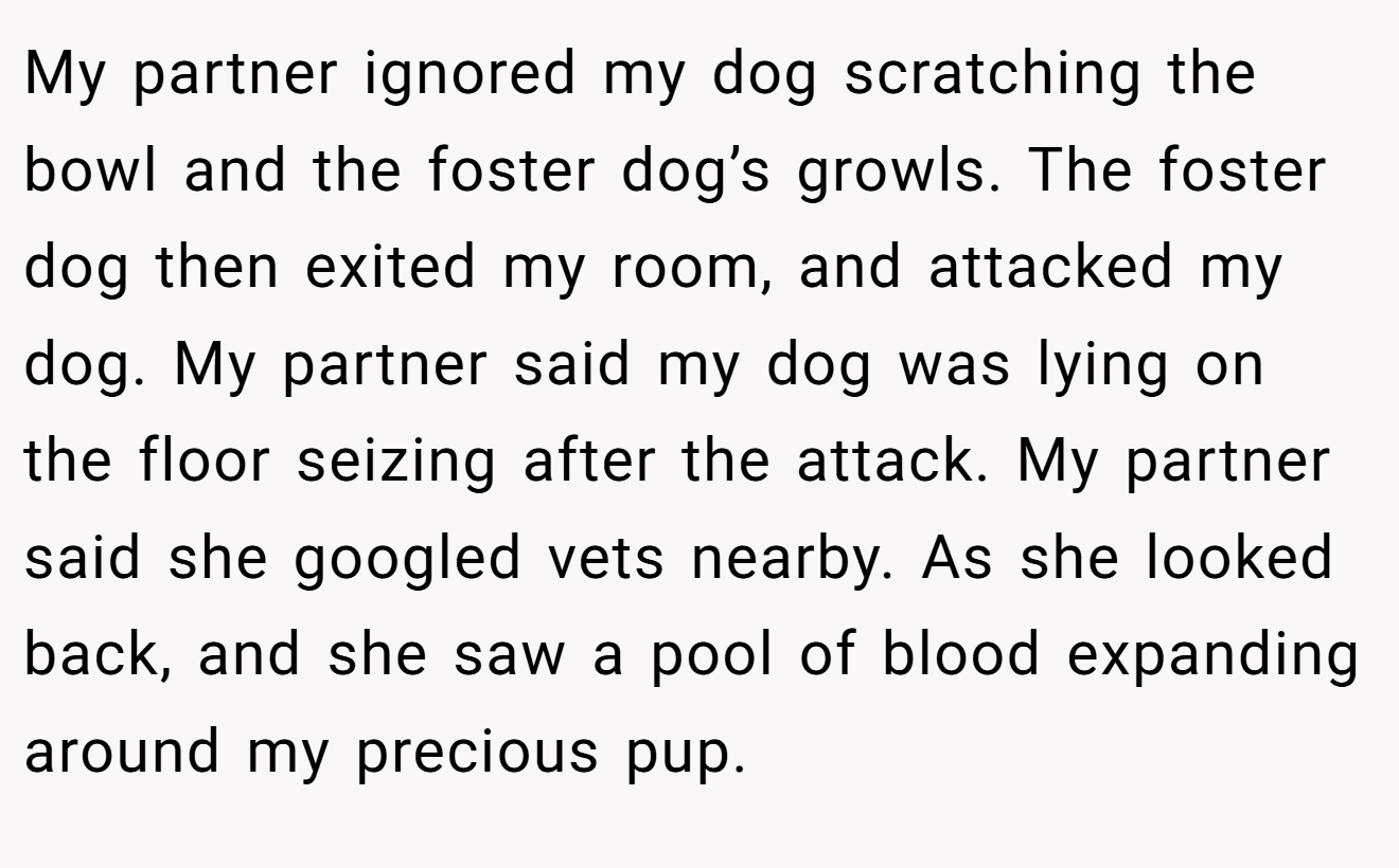 My partner ignored my dog scratching the bowl and the foster dog’s growls. The foster dog then exited my room, and attacked my dog. My partner said my dog was lying on the floor seizing after the attack. My partner said she googled vets nearby. As she looked back, and she saw a pool of blood expanding around my precious pup.