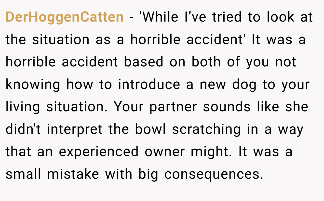 DerHoggenCatten − 'While I’ve tried to look at the situation as a horrible accident' It was a horrible accident based on both of you not knowing how to introduce a new dog to your living situation. Your partner sounds like she didn't interpret the bowl scratching in a way that an experienced owner might. It was a small mistake with big consequences.
