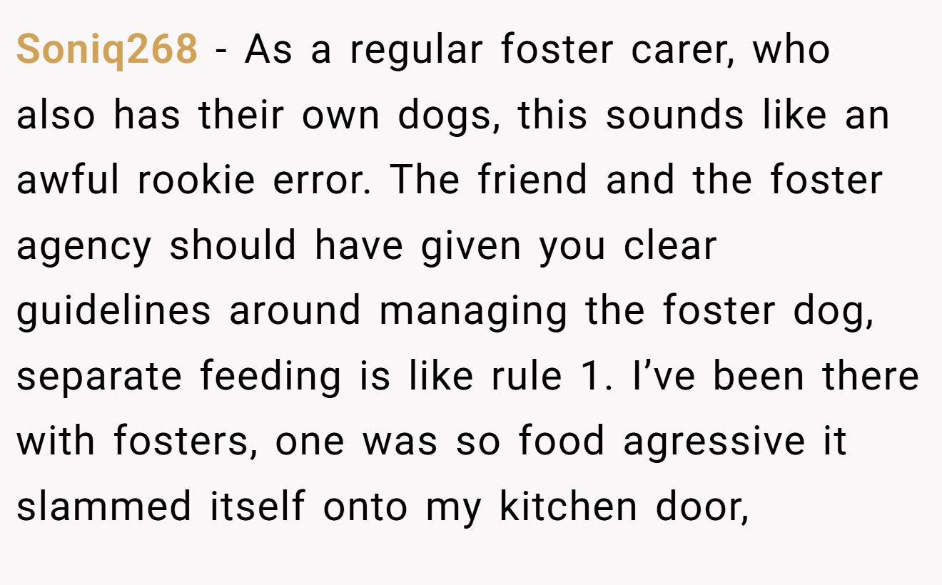 Soniq268 − As a regular foster carer, who also has their own dogs, this sounds like an awful rookie error. The friend and the foster agency should have given you clear guidelines around managing the foster dog, separate feeding is like rule 1. I’ve been there with fosters, one was so food agressive it slammed itself onto my kitchen door,