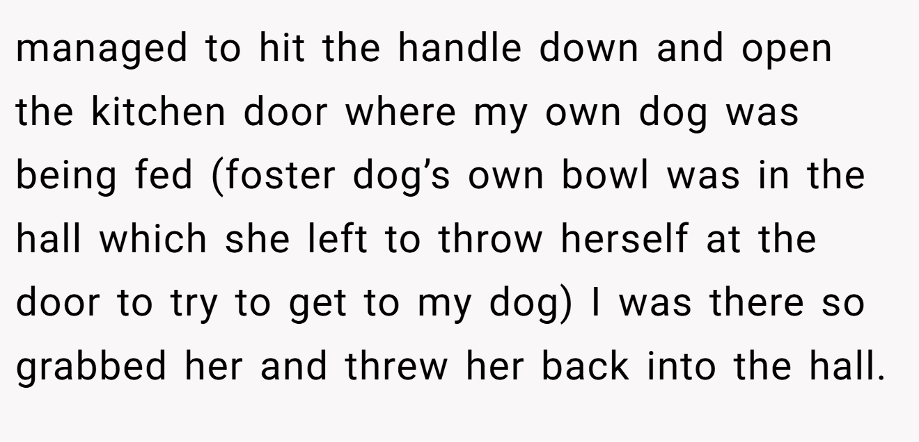 managed to hit the handle down and open the kitchen door where my own dog was being fed (foster dog’s own bowl was in the hall which she left to throw herself at the door to try to get to my dog) I was there so grabbed her and threw her back into the hall.