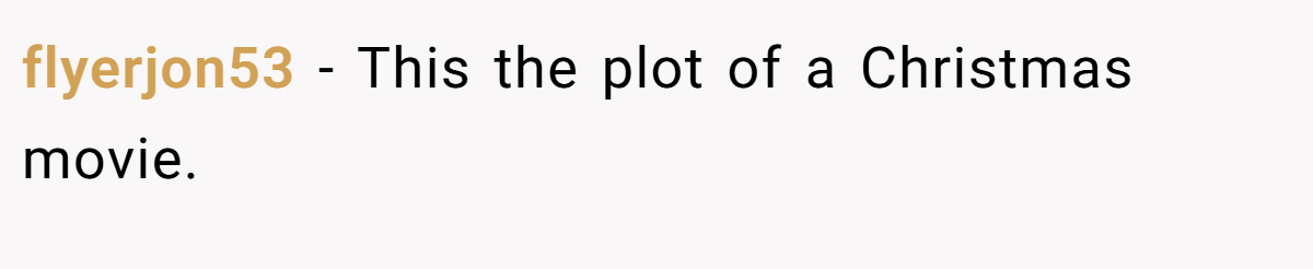 flyerjon53 − This the plot of a Christmas movie.