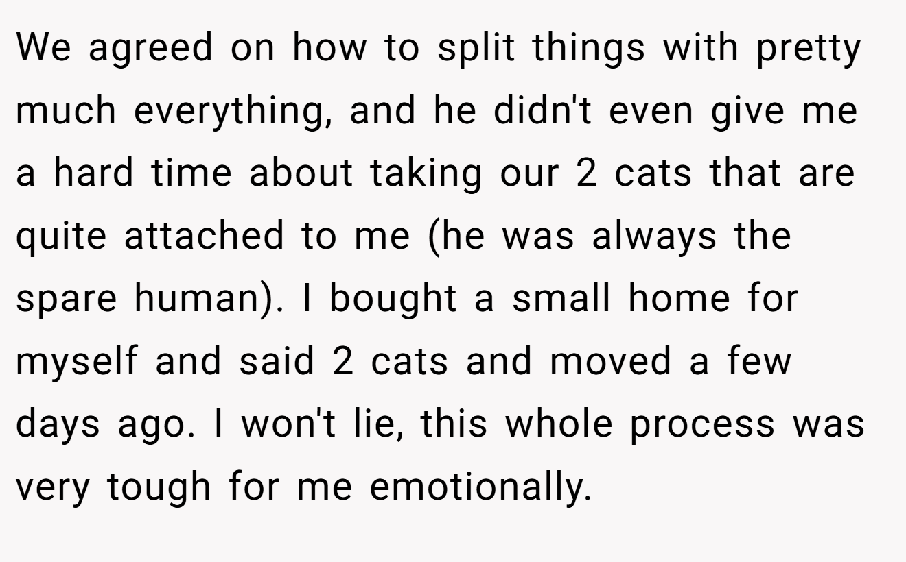 We agreed on how to split things with pretty much everything, and he didn't even give me a hard time about taking our 2 cats that are quite attached to me (he was always the spare human). I bought a small home for myself and said 2 cats and moved a few days ago. I won't lie, this whole process was very tough for me emotionally.