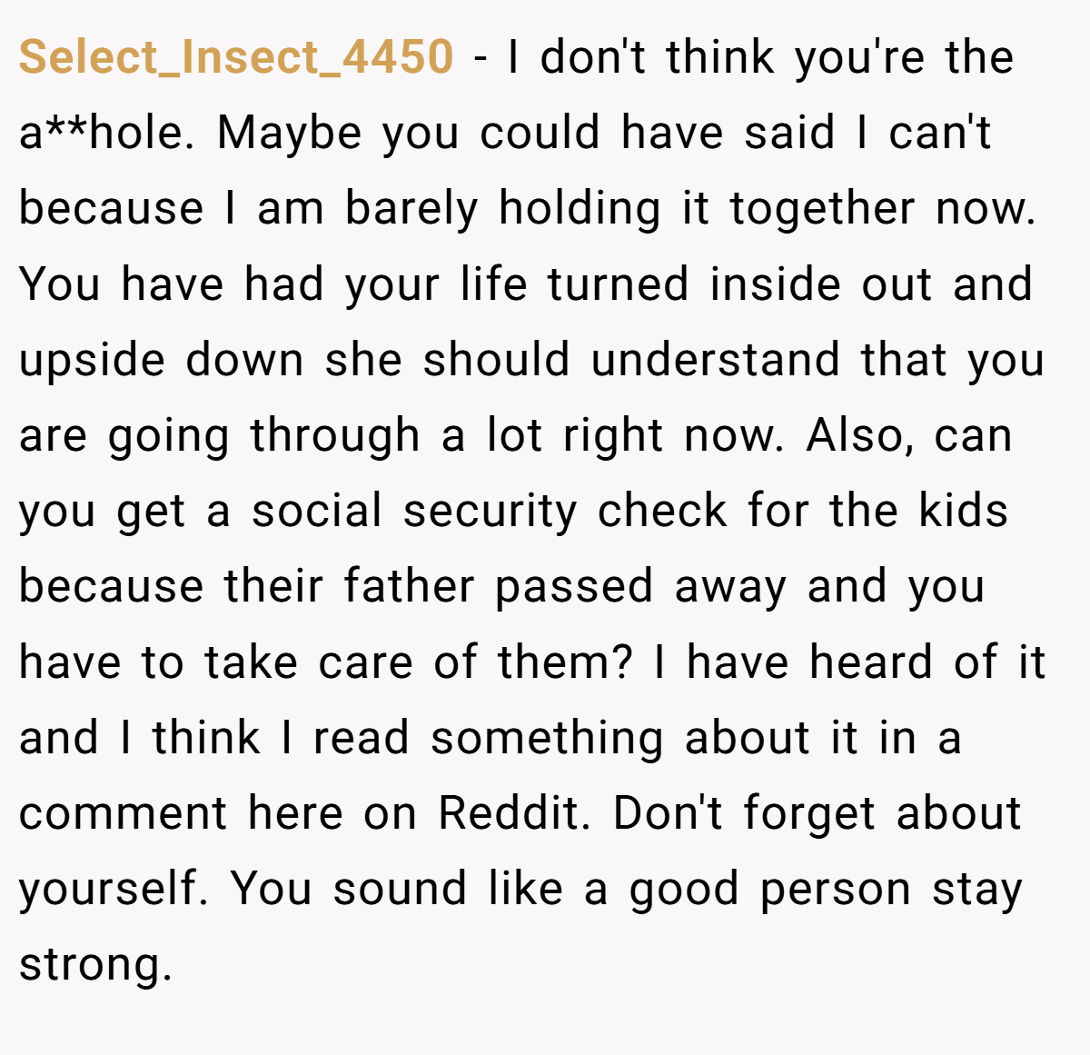 Select_Insect_4450 − I don't think you're the a**hole. Maybe you could have said I can't because I am barely holding it together now. You have had your life turned inside out and upside down she should understand that you are going through a lot right now. Also, can you get a social security check for the kids because their father passed away and you have to take care of them? I have heard of it and I think I read something about it in a comment here on Reddit. Don't forget about yourself. You sound like a good person stay strong.