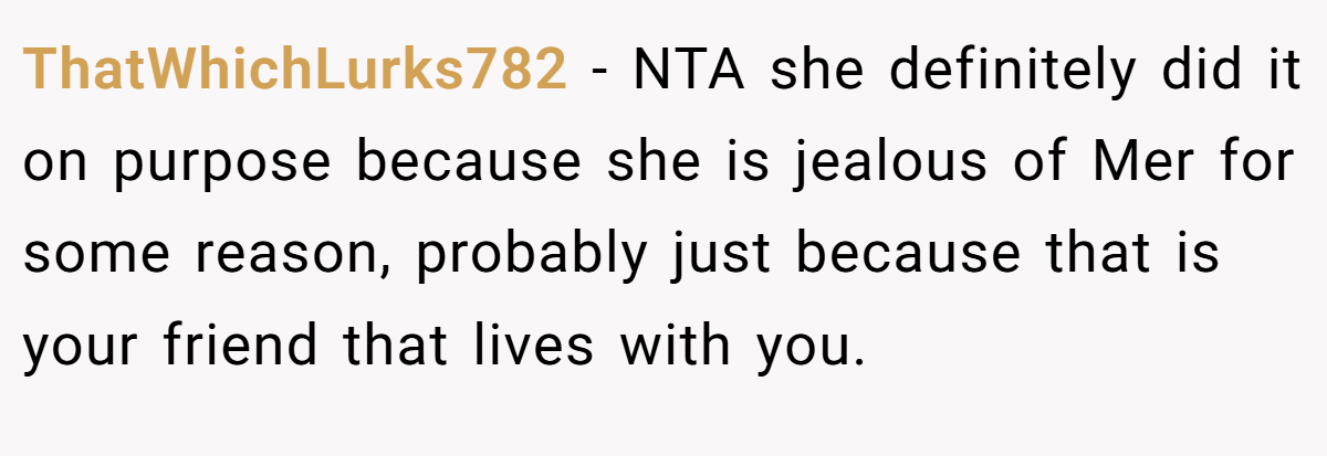 ThatWhichLurks782 − NTA she definitely did it on purpose because she is jealous of Mer for some reason, probably just because that is your friend that lives with you.