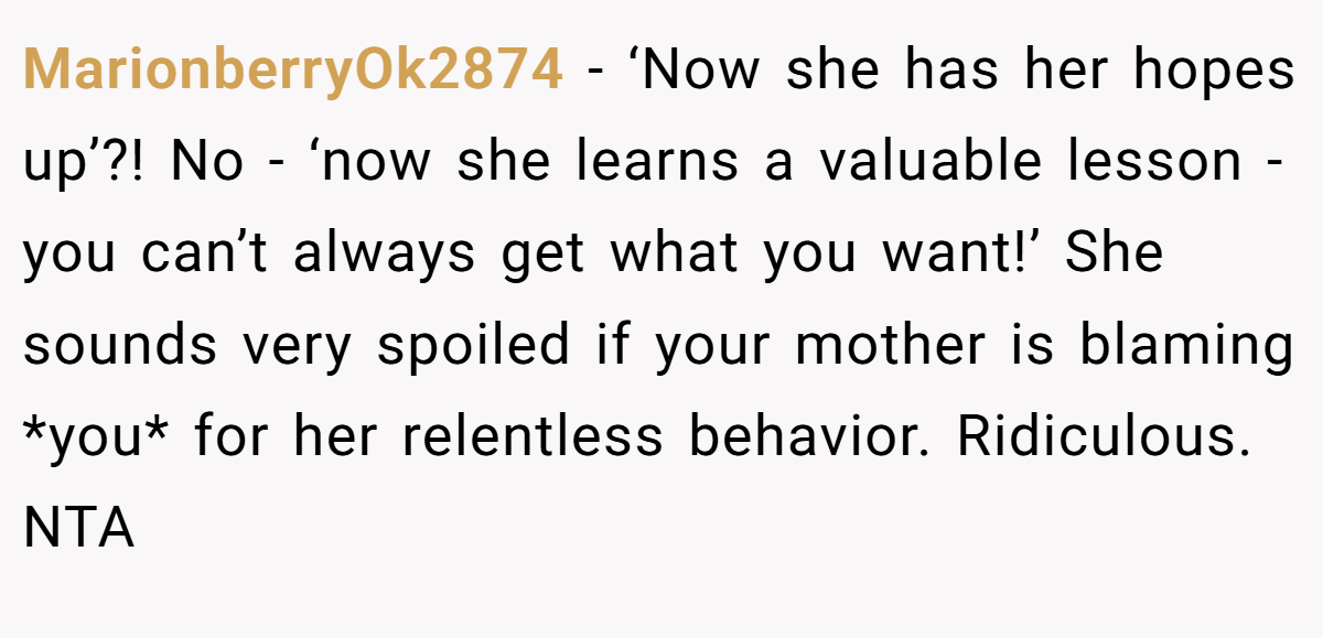 MarionberryOk2874 − ‘Now she has her hopes up’?! No - ‘now she learns a valuable lesson - you can’t always get what you want!’ She sounds very spoiled if your mother is blaming *you* for her relentless behavior. Ridiculous. NTA