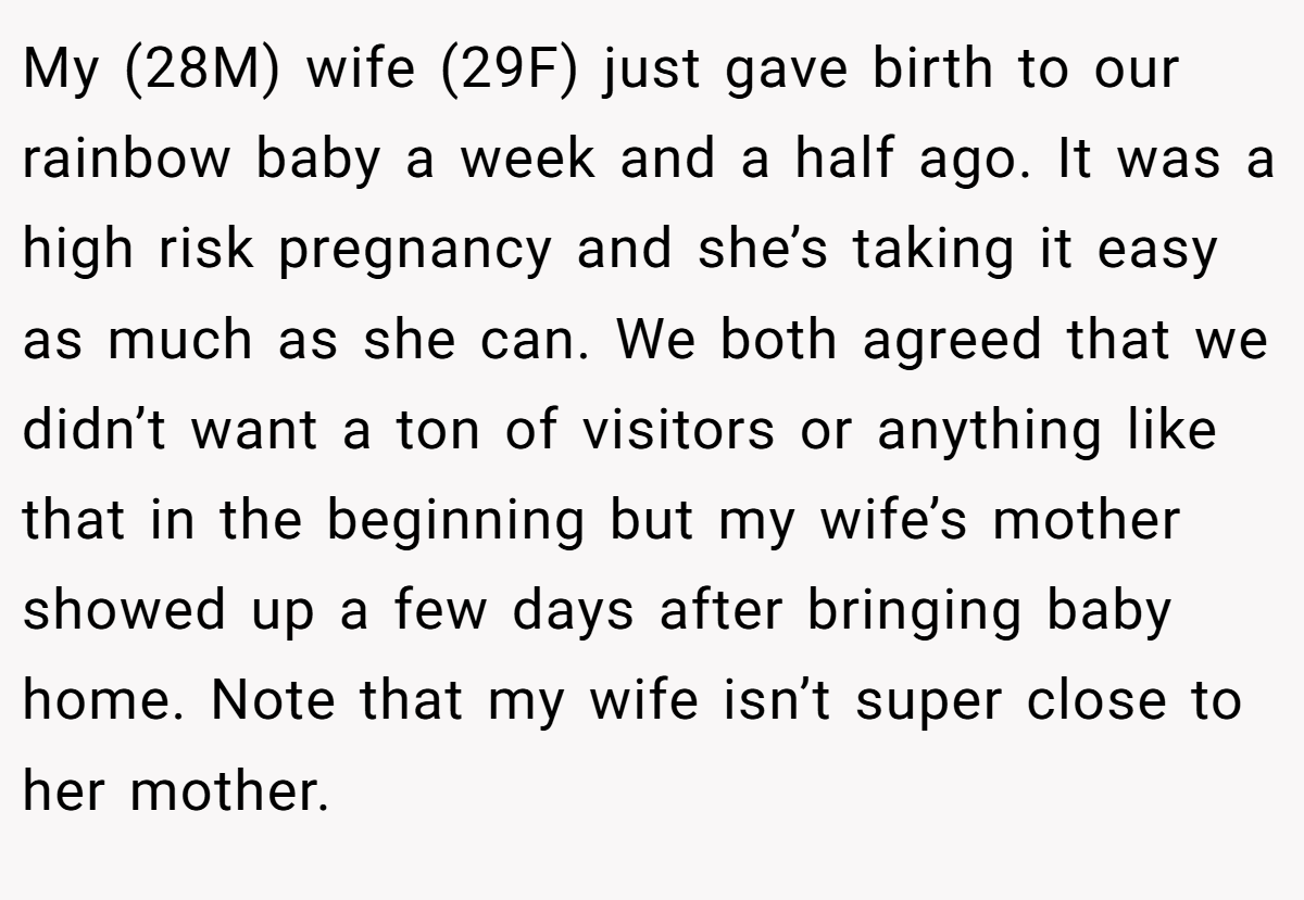 My (28M) wife (29F) just gave birth to our rainbow baby a week and a half ago. It was a high risk pregnancy and she’s taking it easy as much as she can. We both agreed that we didn’t want a ton of visitors or anything like that in the beginning but my wife’s mother showed up a few days after bringing baby home. Note that my wife isn’t super close to her mother.