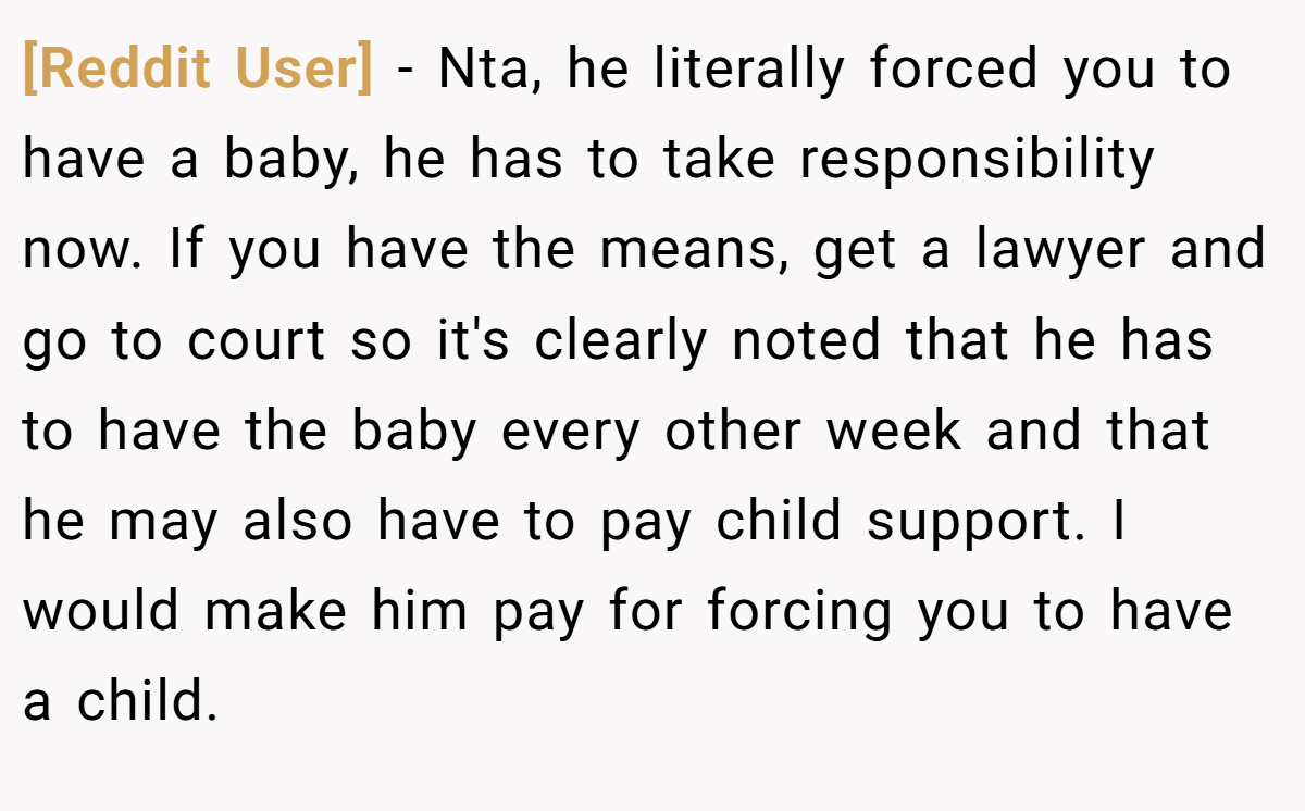 [Reddit User] − Nta, he literally forced you to have a baby, he has to take responsibility now. If you have the means, get a lawyer and go to court so it's clearly noted that he has to have the baby every other week and that he may also have to pay child support. I would make him pay for forcing you to have a child.