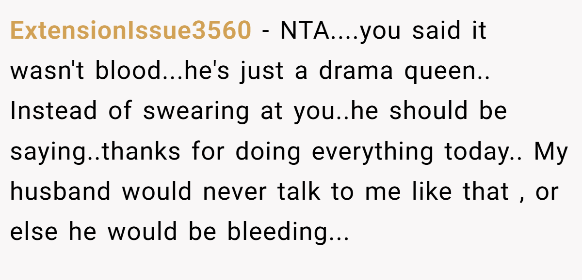 ExtensionIssue3560 − NTA....you said it wasn't blood...he's just a drama queen.. Instead of swearing at you..he should be saying..thanks for doing everything today.. My husband would never talk to me like that , or else he would be bleeding...