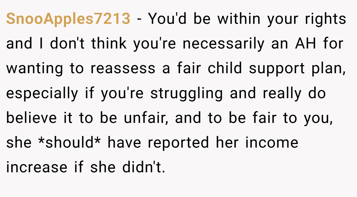 SnooApples7213 − You'd be within your rights and I don't think you're necessarily an AH for wanting to reassess a fair child support plan, especially if you're struggling and really do believe it to be unfair, and to be fair to you, she *should* have reported her income increase if she didn't.