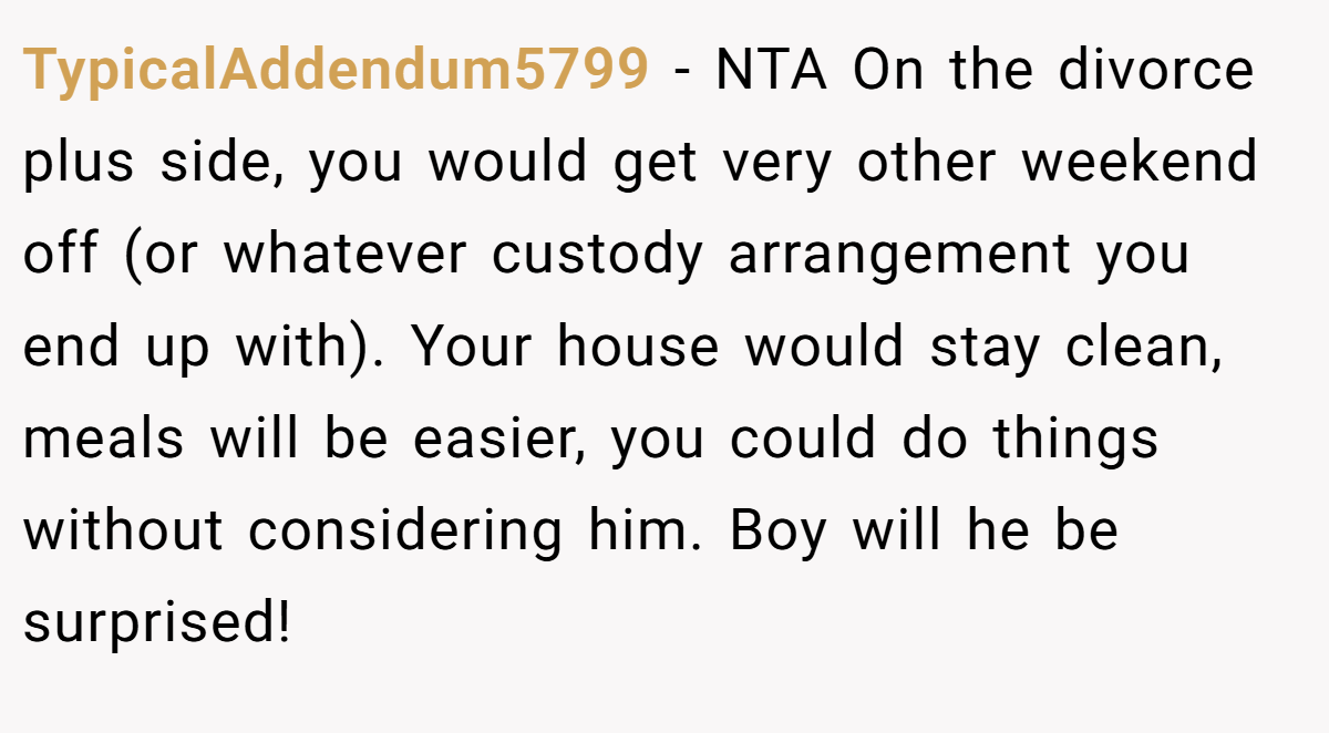 TypicalAddendum5799 − NTA On the divorce plus side, you would get very other weekend off (or whatever custody arrangement you end up with). Your house would stay clean, meals will be easier, you could do things without considering him. Boy will he be surprised!