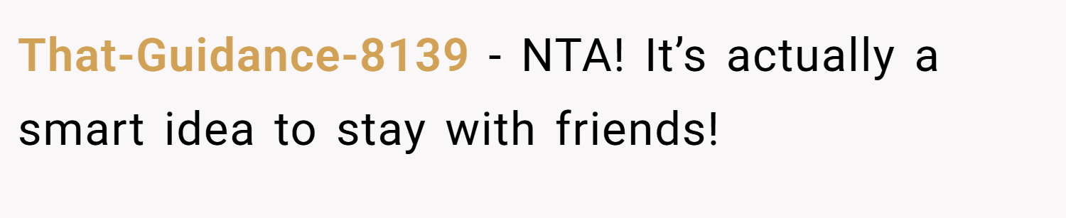 That-Guidance-8139 − NTA! It’s actually a smart idea to stay with friends!
