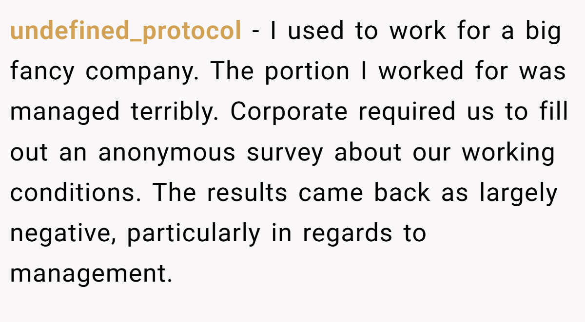 undefined_protocol − I used to work for a big fancy company. The portion I worked for was managed terribly. Corporate required us to fill out an anonymous survey about our working conditions. The results came back as largely negative, particularly in regards to management.