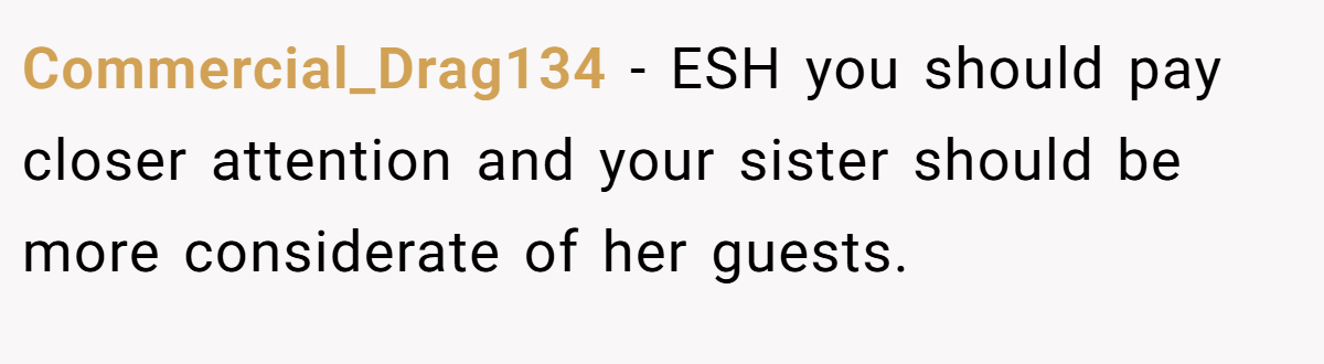 Commercial_Drag134 − ESH you should pay closer attention and your sister should be more considerate of her guests.
