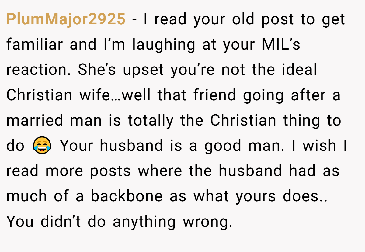 PlumMajor2925 − I read your old post to get familiar and I’m laughing at your MIL’s reaction. She’s upset you’re not the ideal Christian wife…well that friend going after a married man is totally the Christian thing to do 😂 Your husband is a good man. I wish I read more posts where the husband had as much of a backbone as what yours does.. You didn’t do anything wrong.