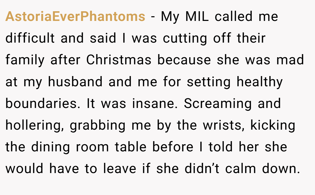 AstoriaEverPhantoms − My MIL called me difficult and said I was cutting off their family after Christmas because she was mad at my husband and me for setting healthy boundaries. It was insane. Screaming and hollering, grabbing me by the wrists, kicking the dining room table before I told her she would have to leave if she didn’t calm down.