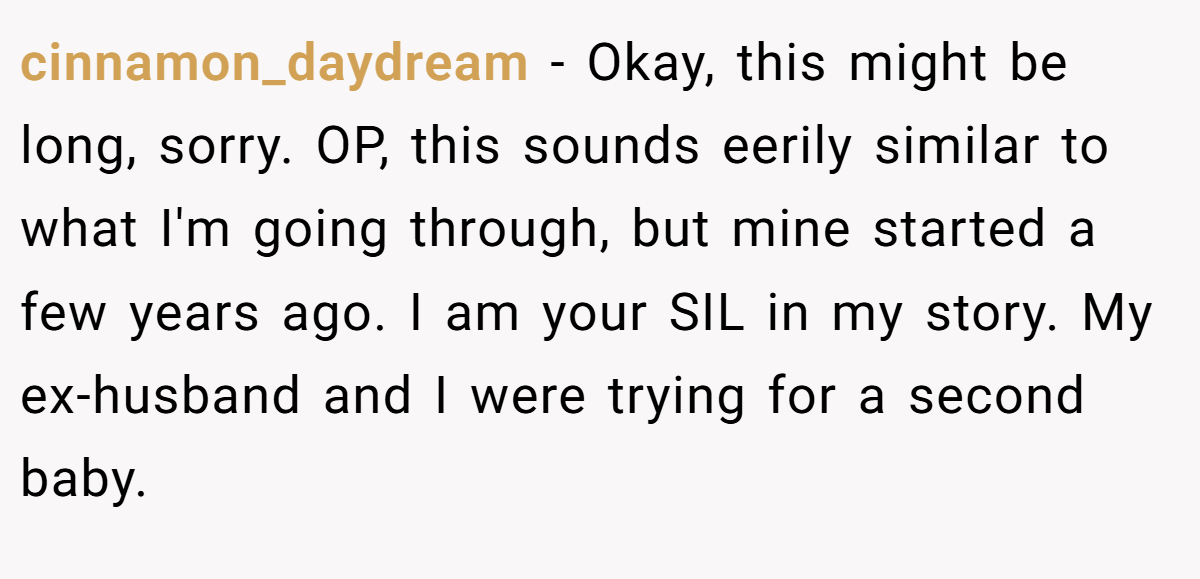 cinnamon_daydream − Okay, this might be long, sorry. OP, this sounds eerily similar to what I'm going through, but mine started a few years ago. I am your SIL in my story. My ex-husband and I were trying for a second baby.