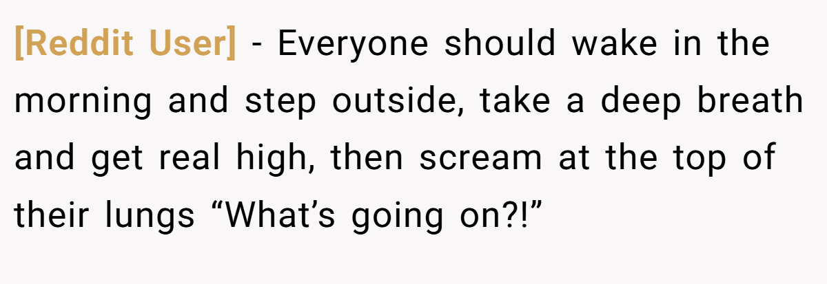 [Reddit User] − Everyone should wake in the morning and step outside, take a deep breath and get real high, then scream at the top of their lungs “What’s going on?!”