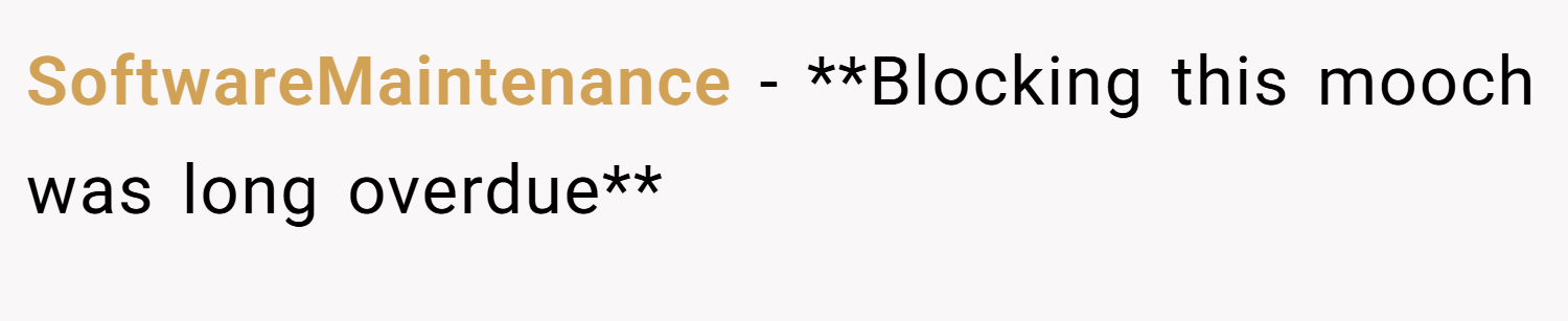 SoftwareMaintenance − **Blocking this mooch was long overdue**