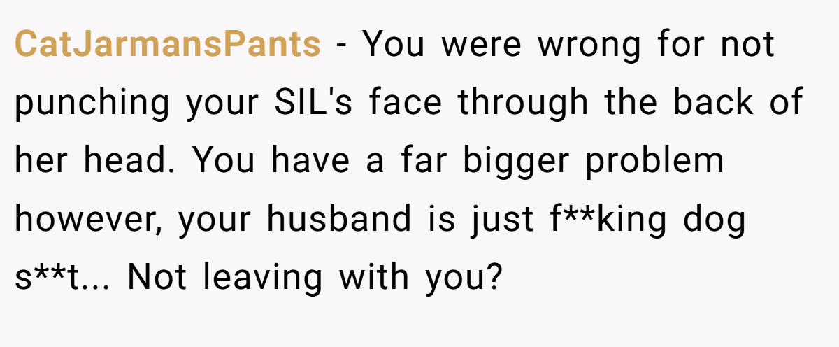 CatJarmansPants − You were wrong for not punching your SIL's face through the back of her head. You have a far bigger problem however, your husband is just f**king dog s**t... Not leaving with you?