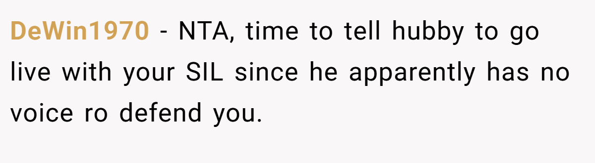 DeWin1970 − NTA, time to tell hubby to go live with your SIL since he apparently has no voice ro defend you.