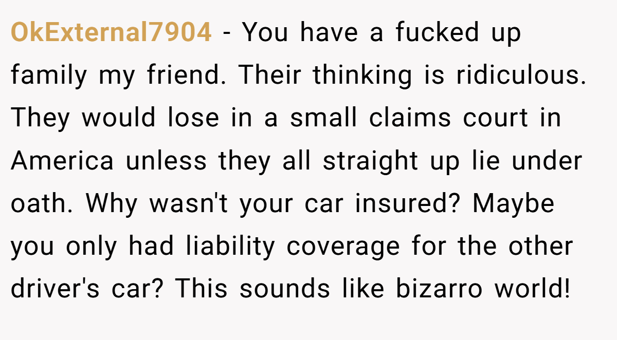 OkExternal7904 − You have a fucked up family my friend. Their thinking is ridiculous. They would lose in a small claims court in America unless they all straight up lie under oath. Why wasn't your car insured? Maybe you only had liability coverage for the other driver's car? This sounds like bizarro world!