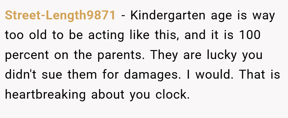 Street-Length9871 − Kindergarten age is way too old to be acting like this, and it is 100 percent on the parents. They are lucky you didn't sue them for damages. I would. That is heartbreaking about you clock.