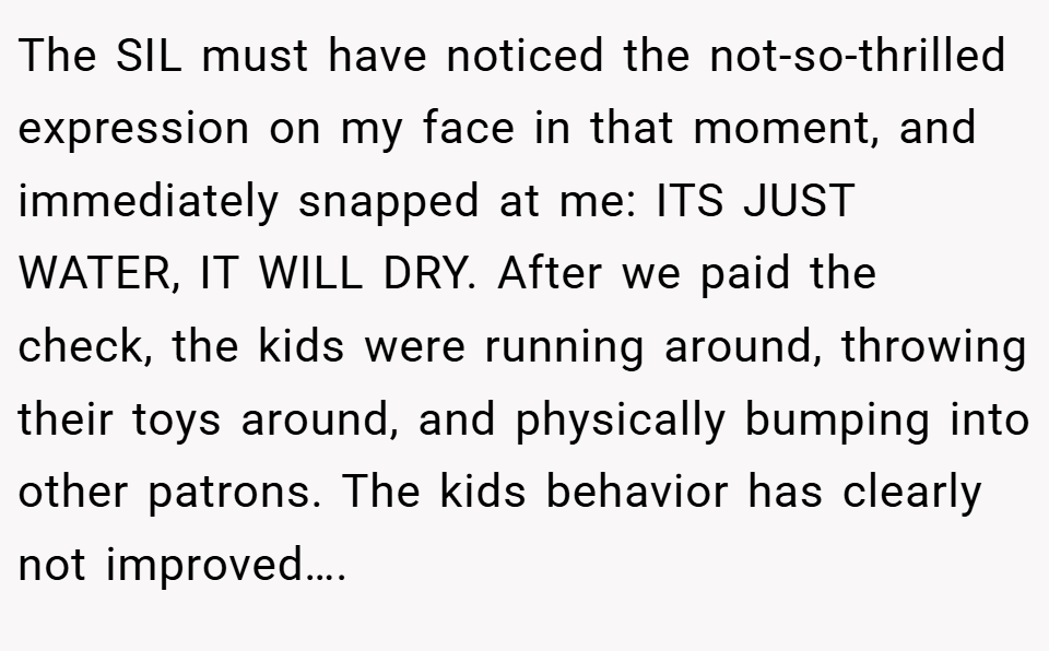 The SIL must have noticed the not-so-thrilled expression on my face in that moment, and immediately snapped at me: ITS JUST WATER, IT WILL DRY. After we paid the check, the kids were running around, throwing their toys around, and physically bumping into other patrons. The kids behavior has clearly not improved….