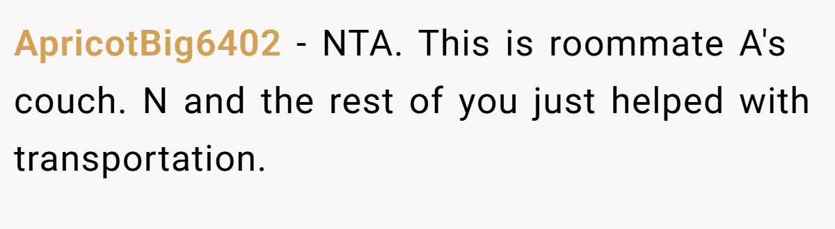 ApricotBig6402 − NTA. This is roommate A's couch. N and the rest of you just helped with transportation.