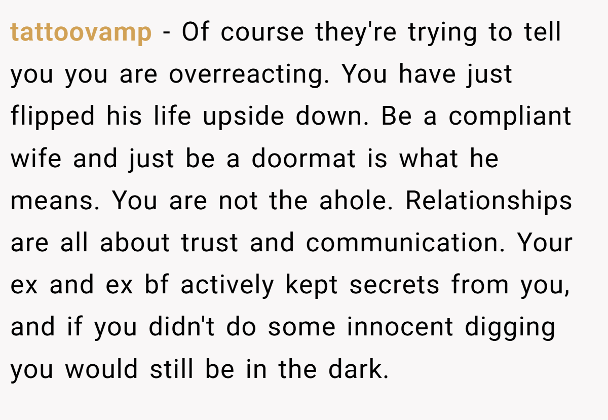 tattoovamp − Of course they're trying to tell you you are overreacting. You have just flipped his life upside down. Be a compliant wife and just be a doormat is what he means. You are not the ahole. Relationships are all about trust and communication. Your ex and ex bf actively kept secrets from you, and if you didn't do some innocent digging you would still be in the dark.