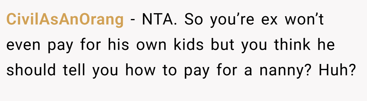 CivilAsAnOrang − NTA. So you’re ex won’t even pay for his own kids but you think he should tell you how to pay for a nanny? Huh?