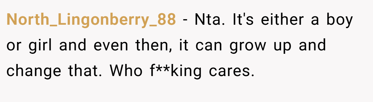 North_Lingonberry_88 − Nta. It's either a boy or girl and even then, it can grow up and change that. Who f**king cares.