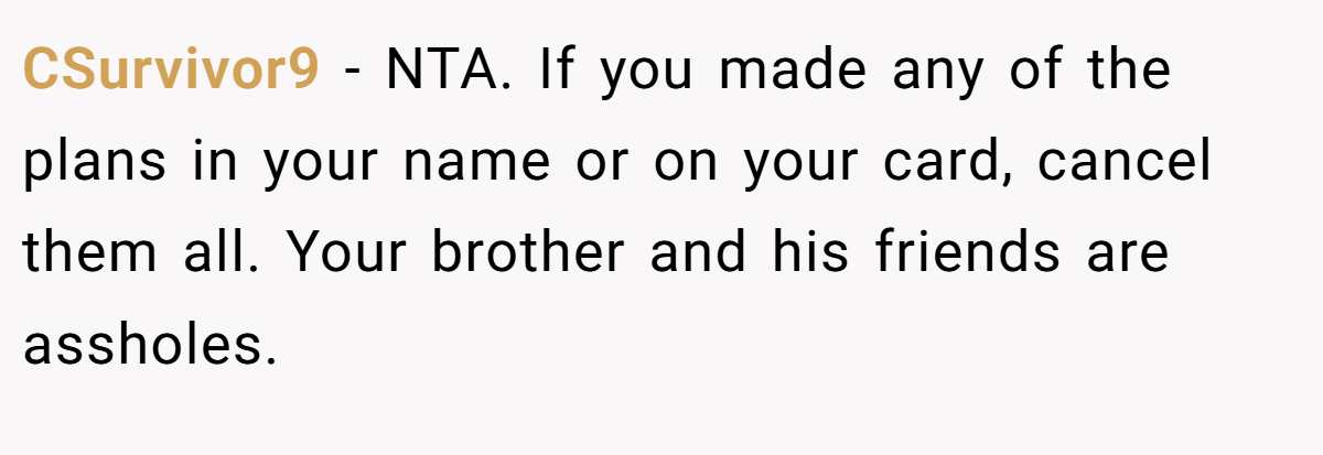 CSurvivor9 − NTA. If you made any of the plans in your name or on your card, cancel them all. Your brother and his friends are assholes.