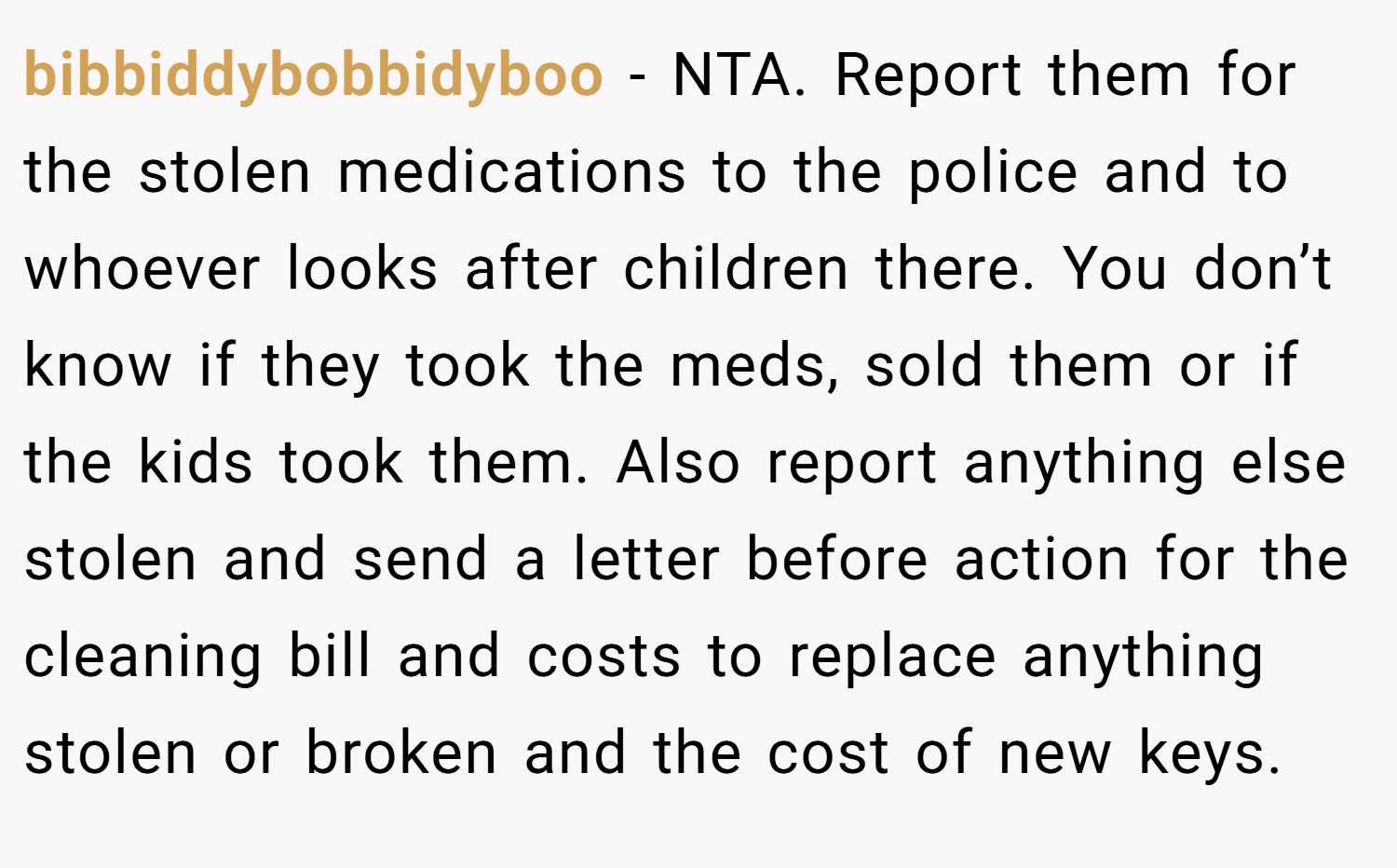 bibbiddybobbidyboo − NTA. Report them for the stolen medications to the police and to whoever looks after children there. You don’t know if they took the meds, sold them or if the kids took them. Also report anything else stolen and send a letter before action for the cleaning bill and costs to replace anything stolen or broken and the cost of new keys.