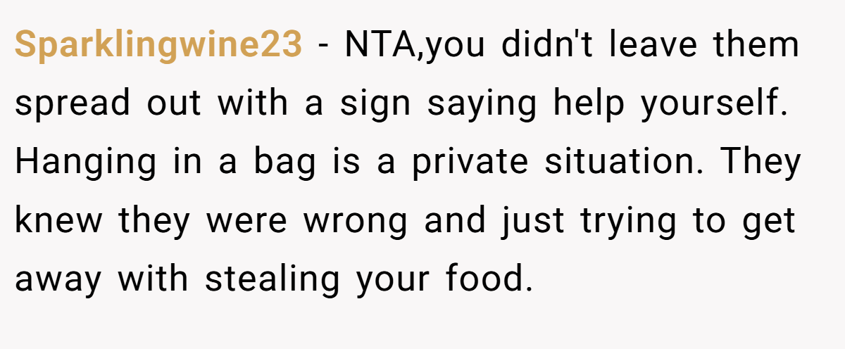 Sparklingwine23 − NTA,you didn't leave them spread out with a sign saying help yourself. Hanging in a bag is a private situation. They knew they were wrong and just trying to get away with stealing your food.
