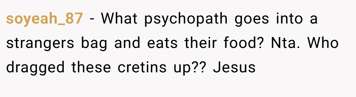 soyeah_87 − What psychopath goes into a strangers bag and eats their food? Nta. Who dragged these cretins up?? Jesus