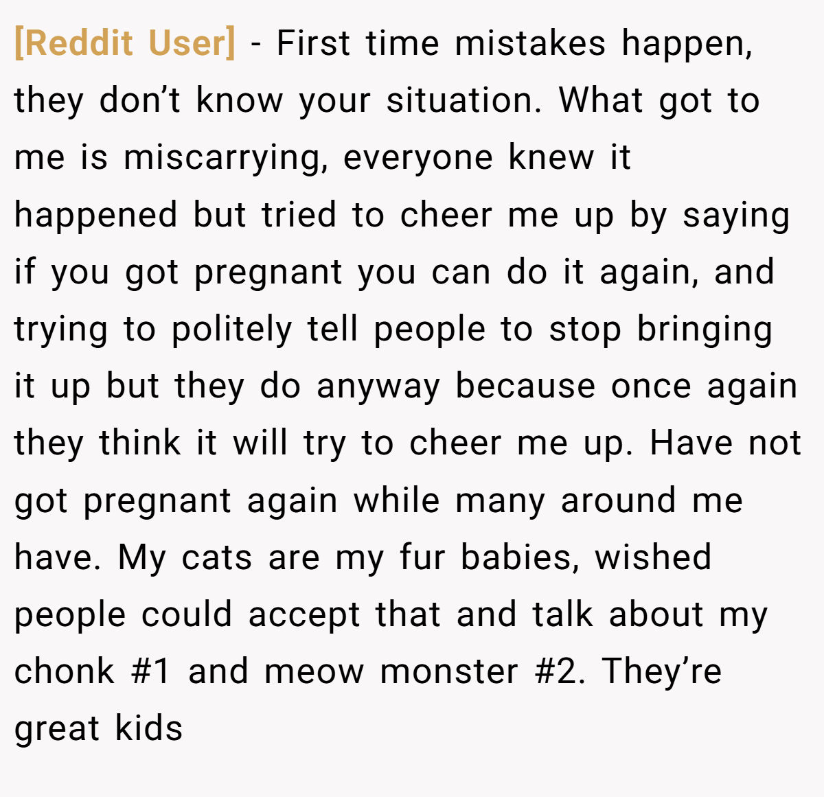 [Reddit User] − First time mistakes happen, they don’t know your situation. What got to me is miscarrying, everyone knew it happened but tried to cheer me up by saying if you got pregnant you can do it again, and trying to politely tell people to stop bringing it up but they do anyway because once again they think it will try to cheer me up. Have not got pregnant again while many around me have. My cats are my fur babies, wished people could accept that and talk about my chonk #1 and meow monster #2. They’re great kids