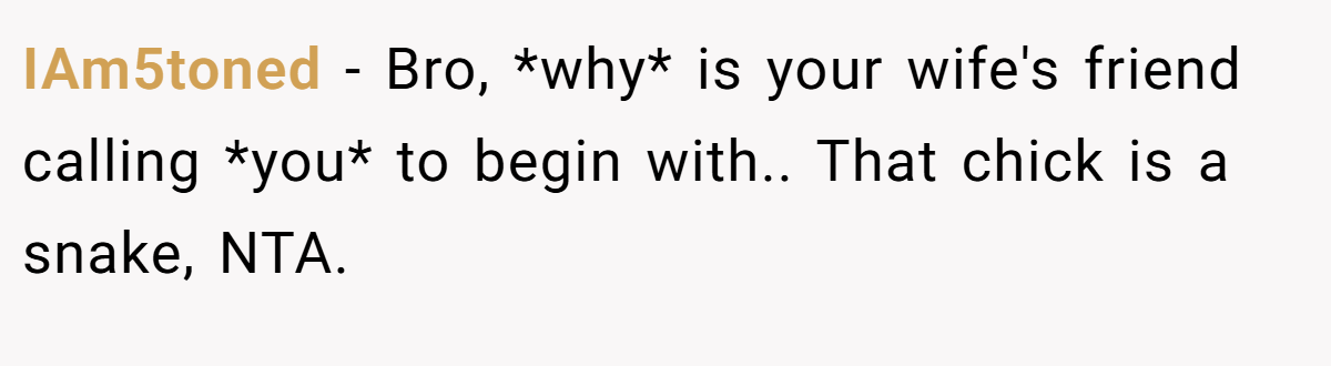 IAm5toned − Bro, *why* is your wife's friend calling *you* to begin with.. That chick is a snake, NTA.