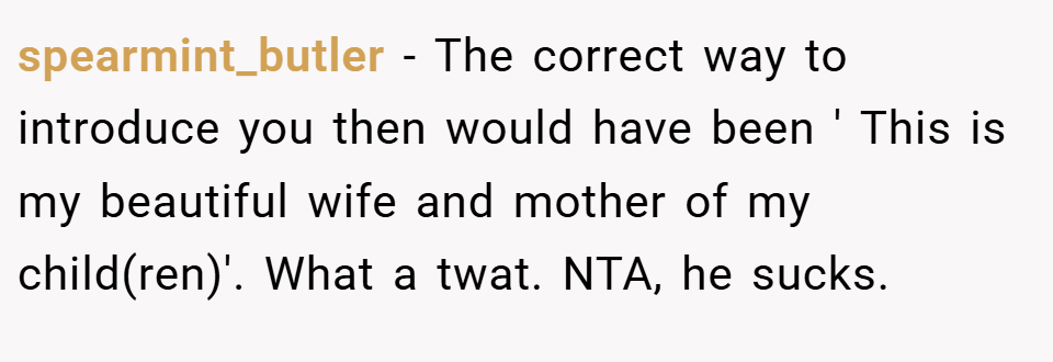 spearmint_butler − The correct way to introduce you then would have been ' This is my beautiful wife and mother of my child(ren)'. What a twat. NTA, he sucks.