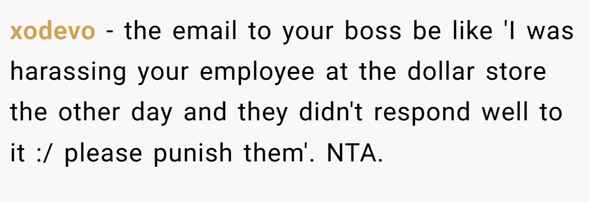xodevo − the email to your boss be like 'I was harassing your employee at the dollar store the other day and they didn't respond well to it :/ please punish them'. NTA.