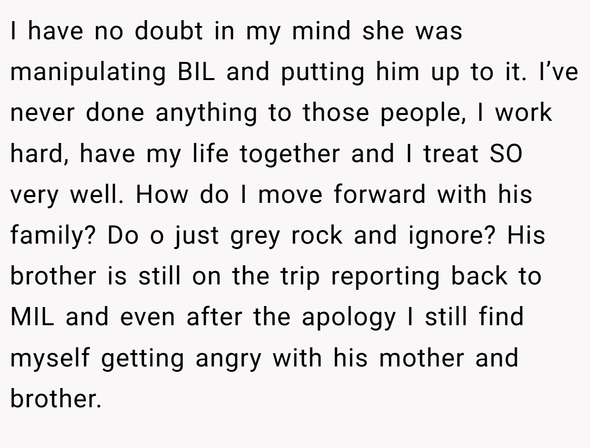 I have no doubt in my mind she was manipulating BIL and putting him up to it. I’ve never done anything to those people, I work hard, have my life together and I treat SO very well. How do I move forward with his family? Do o just grey rock and ignore? His brother is still on the trip reporting back to MIL and even after the apology I still find myself getting angry with his mother and brother.