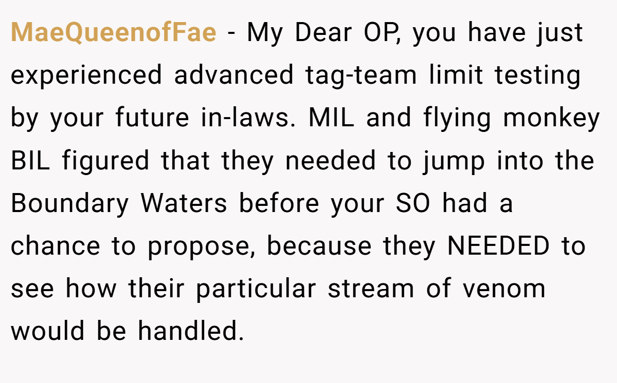 MaeQueenofFae − My Dear OP, you have just experienced advanced tag-team limit testing by your future in-laws. MIL and flying monkey BIL figured that they needed to jump into the Boundary Waters before your SO had a chance to propose, because they NEEDED to see how their particular stream of venom would be handled.