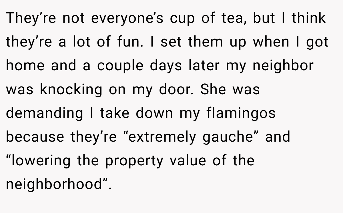 They’re not everyone’s cup of tea, but I think they’re a lot of fun. I set them up when I got home and a couple days later my neighbor was knocking on my door. She was demanding I take down my flamingos because they’re “extremely gauche” and “lowering the property value of the neighborhood”.