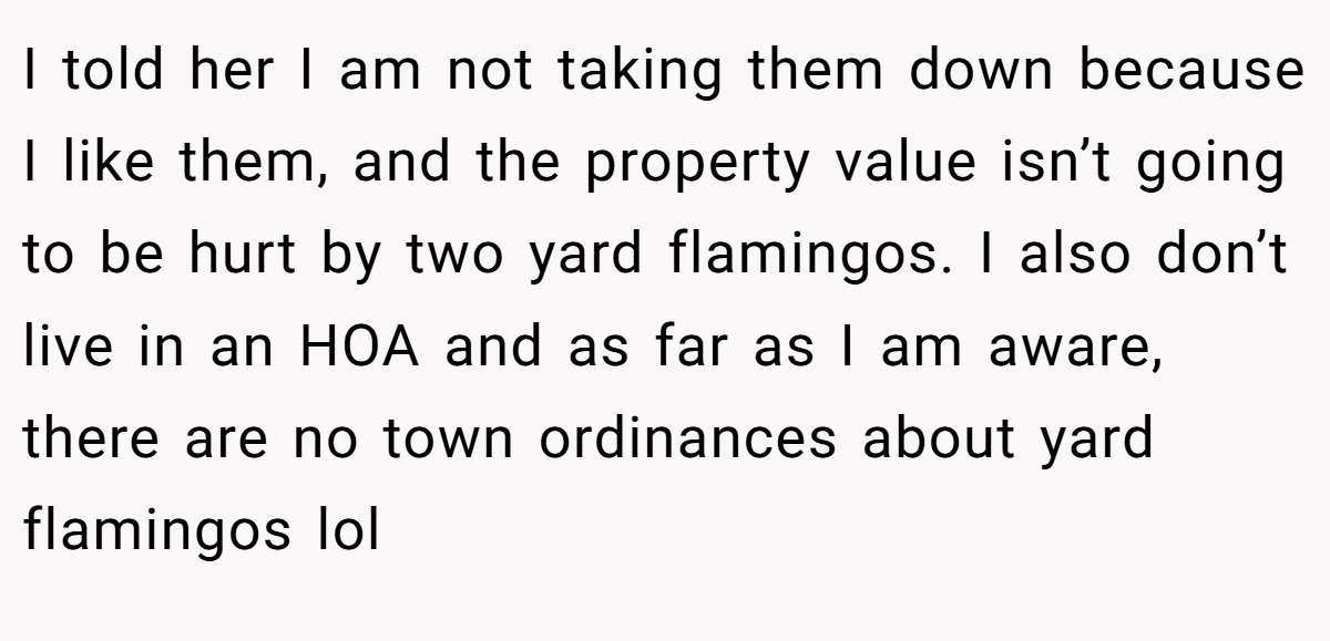 I told her I am not taking them down because I like them, and the property value isn’t going to be hurt by two yard flamingos. I also don’t live in an HOA and as far as I am aware, there are no town ordinances about yard flamingos lol