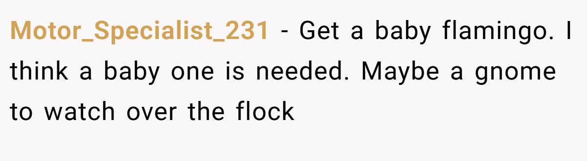 Motor_Specialist_231 − Get a baby flamingo. I think a baby one is needed. Maybe a gnome to watch over the flock
