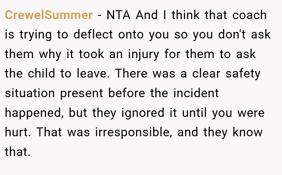 CrewelSummer − NTA And I think that coach is trying to deflect onto you so you don't ask them why it took an injury for them to ask the child to leave. There was a clear safety situation present before the incident happened, but they ignored it until you were hurt. That was irresponsible, and they know that.