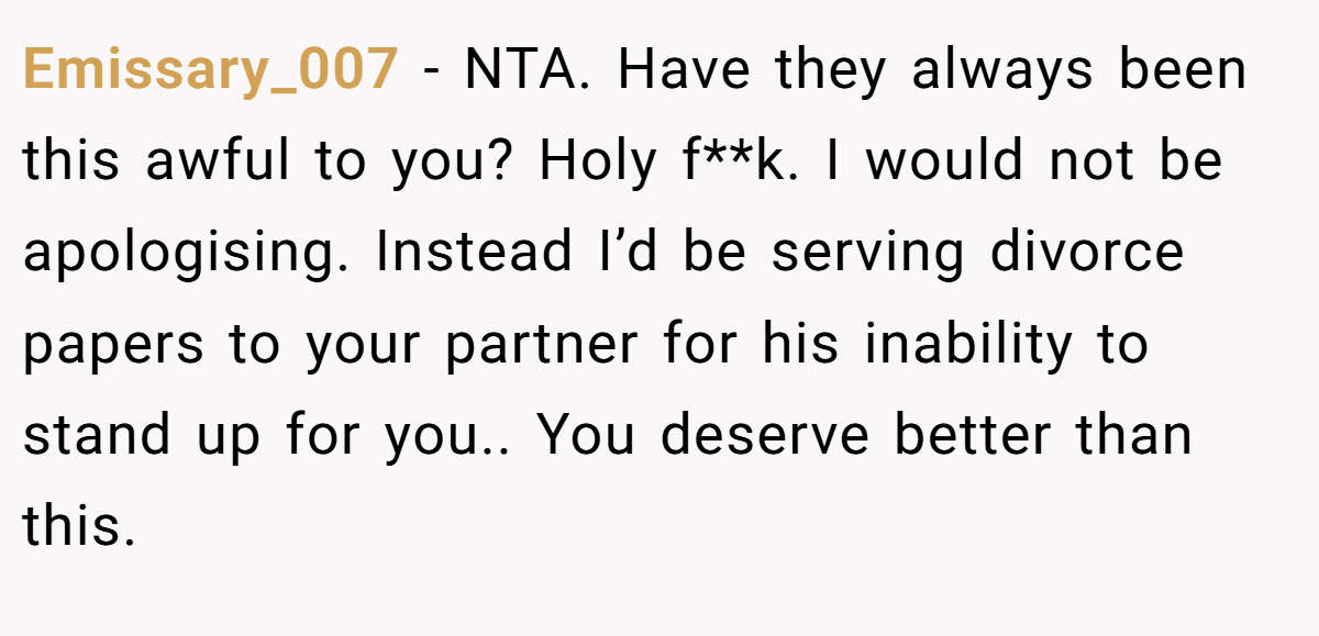 Emissary_007 − NTA. Have they always been this awful to you? Holy f**k. I would not be apologising. Instead I’d be serving divorce papers to your partner for his inability to stand up for you.. You deserve better than this.