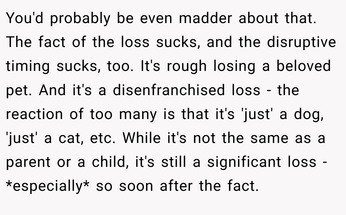 You'd probably be even madder about that. The fact of the loss sucks, and the disruptive timing sucks, too. It's rough losing a beloved pet. And it's a disenfranchised loss - the reaction of too many is that it's 'just' a dog, 'just' a cat, etc. While it's not the same as a parent or a child, it's still a significant loss - *especially* so soon after the fact.
